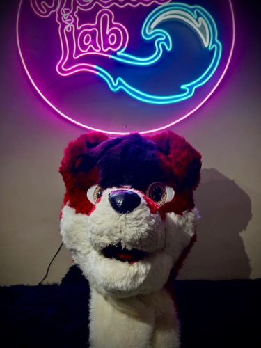 WhatsApp-Image-2026-02-20-at-2.51.56-AM-1