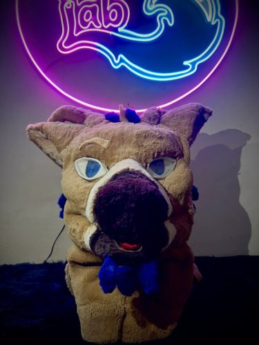 WhatsApp-Image-2026-02-20-at-2.51.57-AM