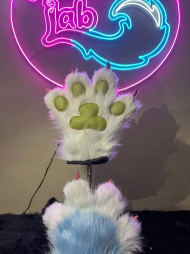 WhatsApp-Image-2026-02-20-at-2.51.58-AM-1