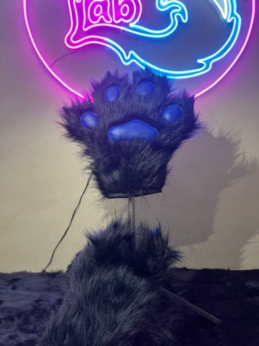 WhatsApp-Image-2026-02-20-at-2.51.58-AM-2