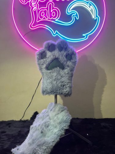 WhatsApp-Image-2026-02-20-at-2.51.58-AM