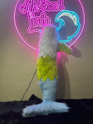 WhatsApp-Image-2026-02-20-at-2.51.59-AM